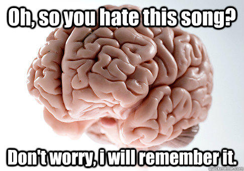 Oh, so you hate this song? Don't worry, i will remember it.  Scumbag Brain