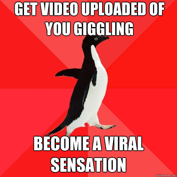 Get video uploaded of you giggling become a viral sensation  Socially Awesome Penguin