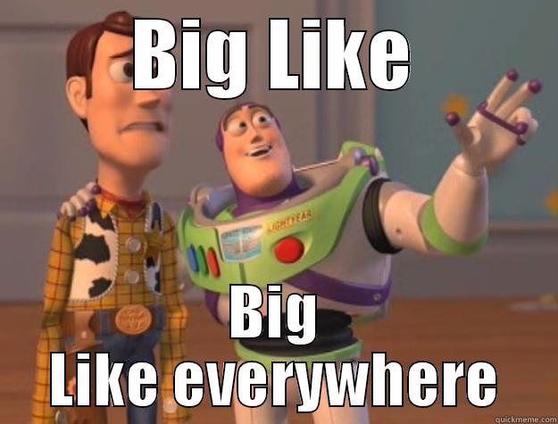 BIG LIKE BIG LIKE EVERYWHERE Toy Story