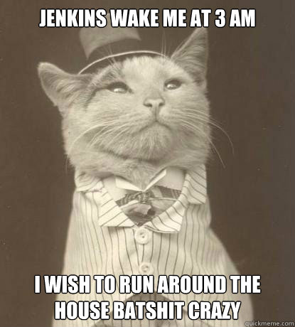 Jenkins wake me at 3 am I wish to run around the house batshit crazy  Aristocat