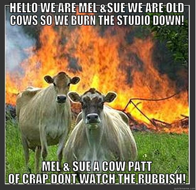 HELLO WE ARE MEL &SUE WE ARE OLD COWS SO WE BURN THE STUDIO DOWN! MEL & SUE A COW PATT OF CRAP DONT WATCH THE RUBBISH! Evil cows