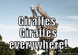                                              GIRAFFES, GIRAFFES EVERYWHERE! Misc