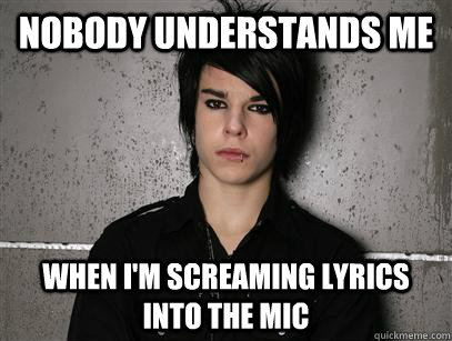 nobody understands me when i'm screaming lyrics into the mic  