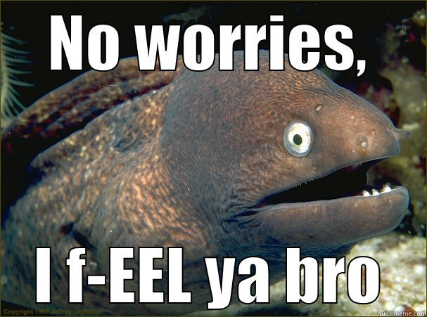 NO WORRIES, I F-EEL YA BRO Bad Joke Eel