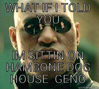 WHAT IF I TOLD YOU IM SITTIN ON HAMBONE DOG HOUSE  GENO Matrix Morpheus