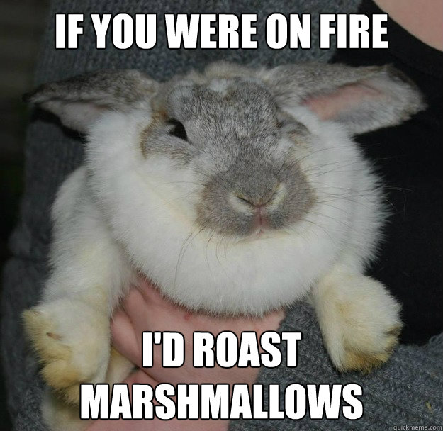 If you were on fire I'd roast marshmallows  