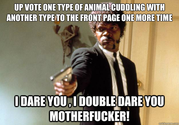 Up vote one type of animal cuddling with another type to the front page one more time i dare you , i double dare you motherfucker!  Samuel L Jackson