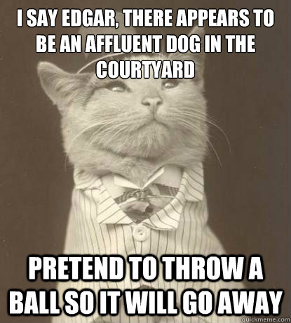 I say edgar, there appears to be an affluent dog in the courtyard Pretend to throw a ball so it will go away  Aristocat