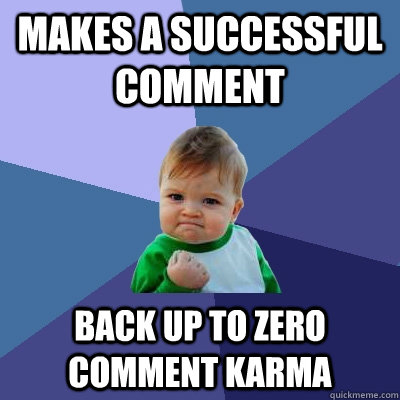 makes a successful comment back up to zero comment karma  Success Kid