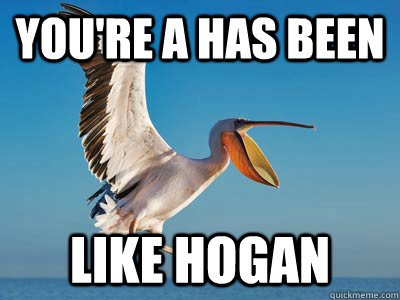 You're a has been like Hogan  