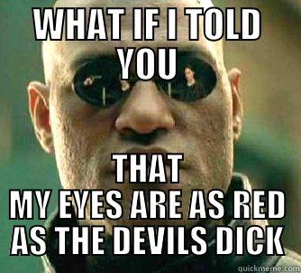 WHAT IF I TOLD YOU THAT MY EYES ARE AS RED AS THE DEVILS DICK Matrix Morpheus