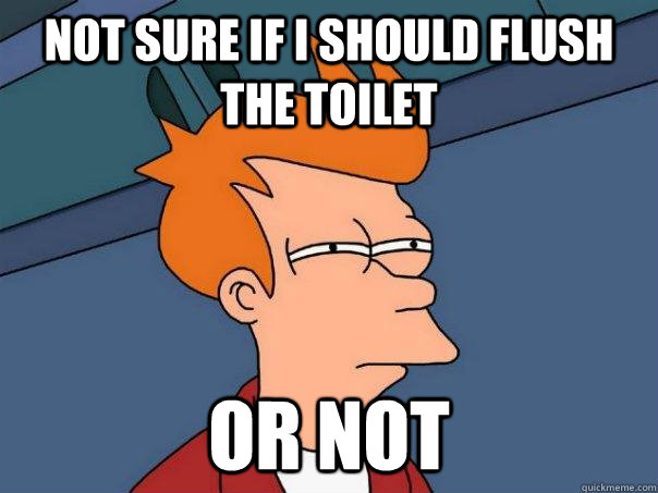 not sure if i should flush the toilet or not  Futurama Fry