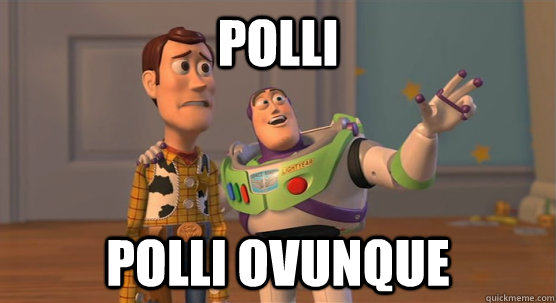 Polli polli ovunque  Toy Story Everywhere