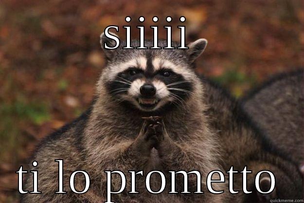 SIIIII TI LO PROMETTO Evil Plotting Raccoon