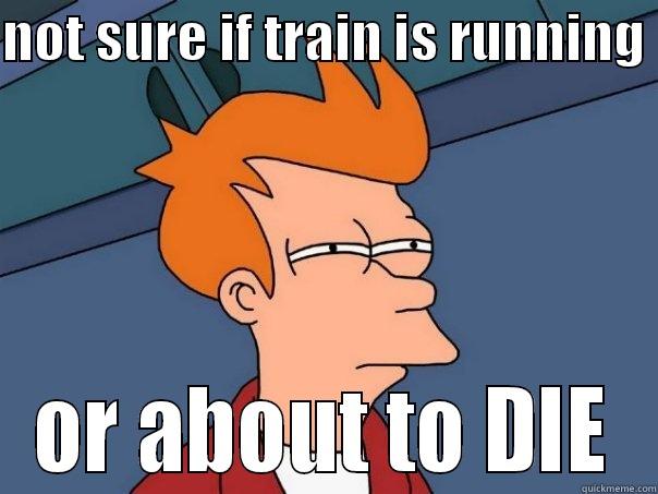 NOT SURE IF TRAIN IS RUNNING  OR ABOUT TO DIE Futurama Fry