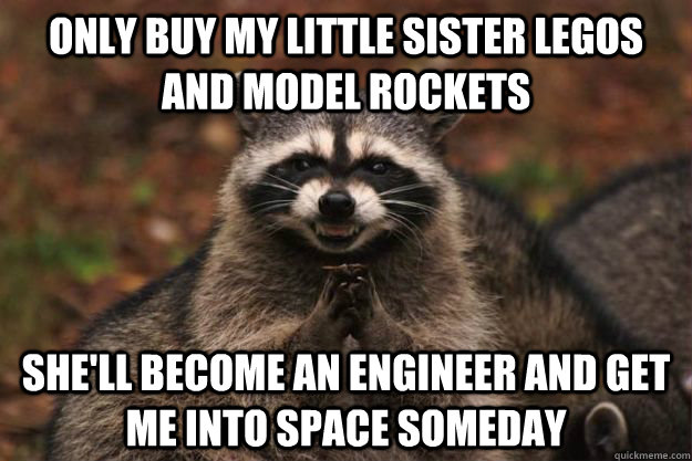 Only buy my little sister legos and model rockets she'll become an engineer and get me into space someday - Only buy my little sister legos and model rockets she'll become an engineer and get me into space someday  Evil Plotting Raccoon