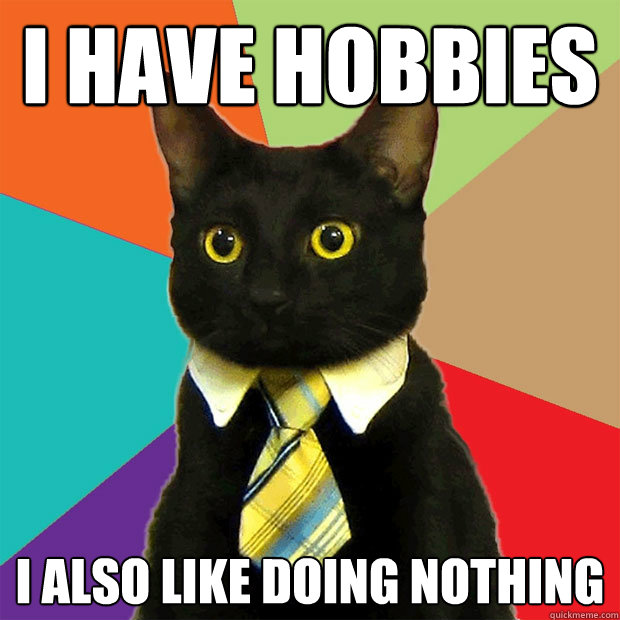 I have hobbies I also like doing nothing  Business Cat