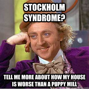 Stockholm Syndrome? Tell me more about how my house is worse than a puppy mill - Stockholm Syndrome? Tell me more about how my house is worse than a puppy mill  Condescending Wonka