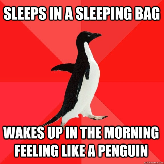 Sleeps in a sleeping bag Wakes up in the morning feeling like a penguin  Socially Awesome Penguin