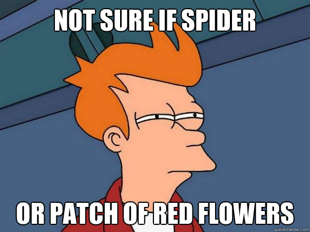 not sure if spider or patch of red flowers  Futurama Fry