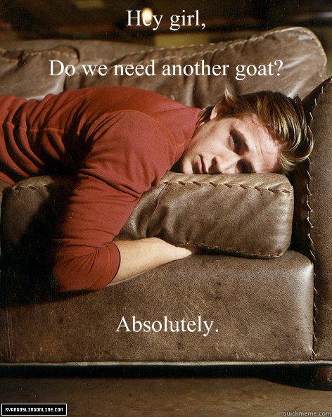 Hey girl,

Do we need another goat? Absolutely.  - Hey girl,

Do we need another goat? Absolutely.   Ryan Gosling Hey Girl