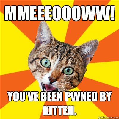 MMEEEOOOWW! You've been pwned by kitteh.  Bad Advice Cat