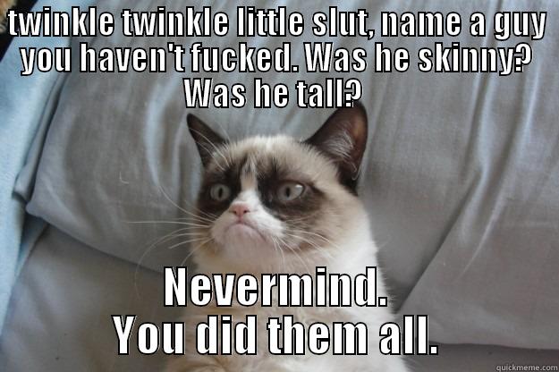 TWINKLE TWINKLE LITTLE SLUT, NAME A GUY YOU HAVEN'T FUCKED. WAS HE SKINNY? WAS HE TALL?  NEVERMIND. YOU DID THEM ALL. Grumpy Cat