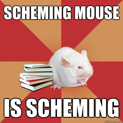 Scheming mouse is scheming  - Scheming mouse is scheming   Science Major Mouse