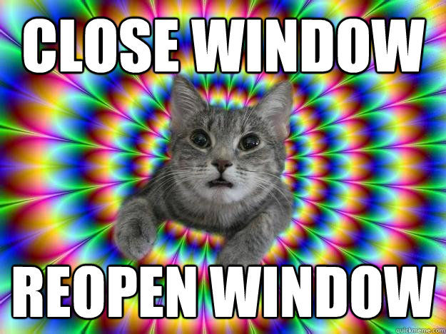 close window reopen window - close window reopen window  Addictive personality cat