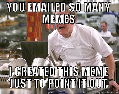 YOU EMAILED SO MANY MEMES I CREATED THIS MEME JUST TO POINT IT OUT Chef Ramsay