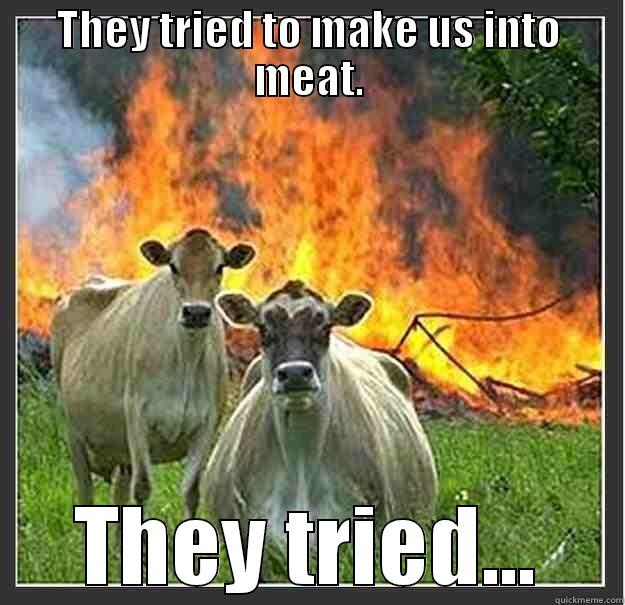 THEY TRIED....... - THEY TRIED TO MAKE US INTO MEAT. THEY TRIED... Evil cows