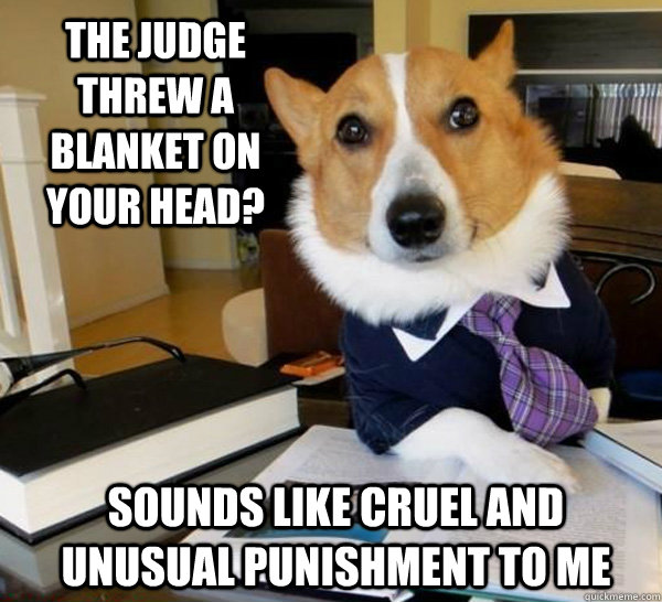 The judge threw a blanket on your head? Sounds like cruel and unusual punishment to me  Lawyer Dog