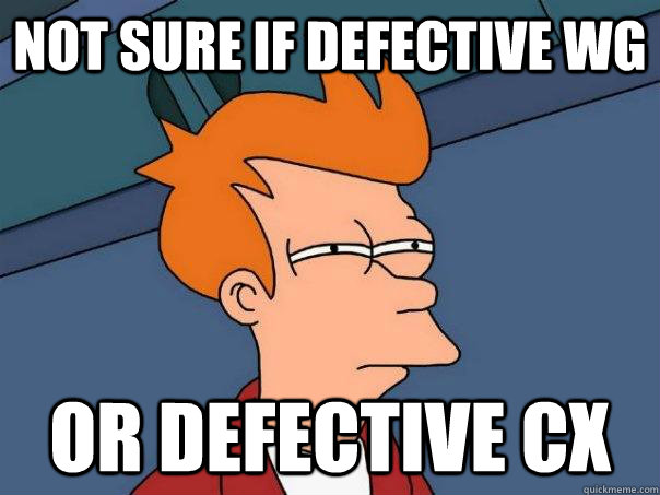 Not sure if defective WG or defective cx - Not sure if defective WG or defective cx  Futurama Fry