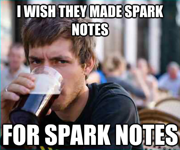 I wish they made spark notes for spark notes  Lazy College Senior