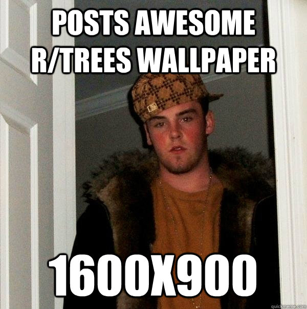 posts awesome r/trees wallpaper 1600x900 - posts awesome r/trees wallpaper 1600x900  Scumbag Steve