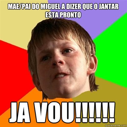 mãae/pai do miguel a dizer que o jantar esta pronto ja vou!!!!!!  Angry School Boy