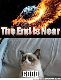   Grumpy Cat