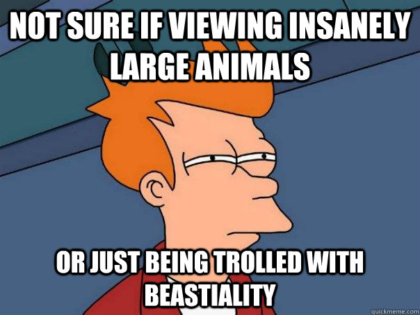 Not sure if viewing insanely large animals Or just being trolled with beastiality  Futurama Fry