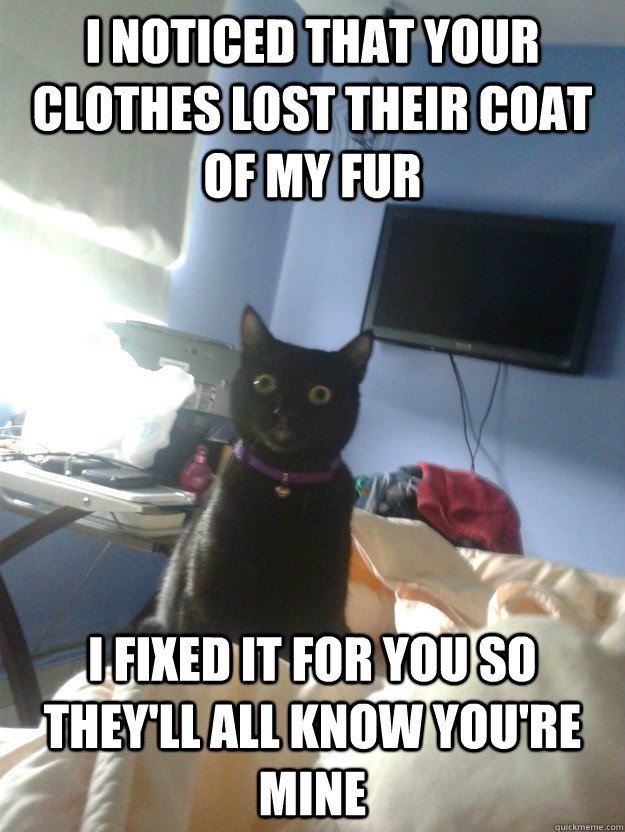 I noticed that your clothes lost their coat of my fur I fixed it for you so they'll all know you're mine  overly attached cat