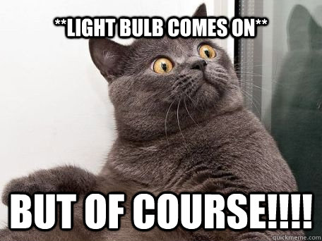 **light bulb comes on** BUT OF COURSE!!!!  conspiracy cat