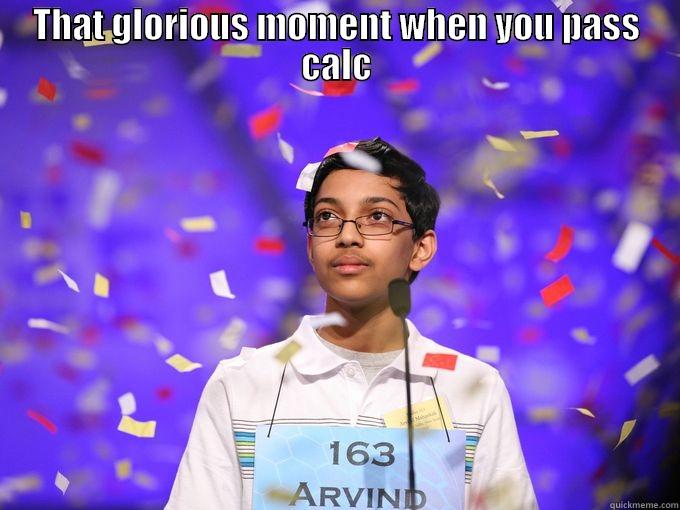 Arab spelling bee - THAT GLORIOUS MOMENT WHEN YOU PASS CALC  Misc