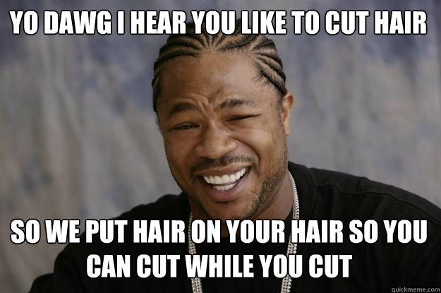 YO DAWG I HEAR YOU Like to cut Hair so we put hair on your hair so you can cut while you cut - YO DAWG I HEAR YOU Like to cut Hair so we put hair on your hair so you can cut while you cut  Xzibit meme