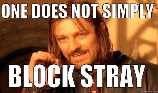 ONE DOES NOT SIMPLY  BLOCK STRAY Boromir