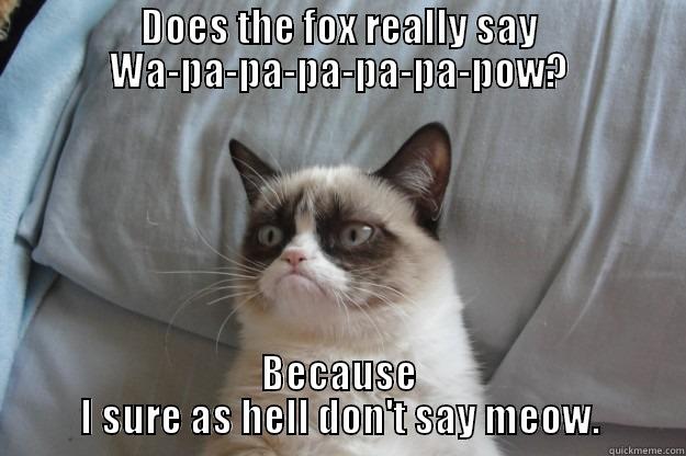 DOES THE FOX REALLY SAY WA-PA-PA-PA-PA-PA-POW? BECAUSE I SURE AS HELL DON'T SAY MEOW. Grumpy Cat