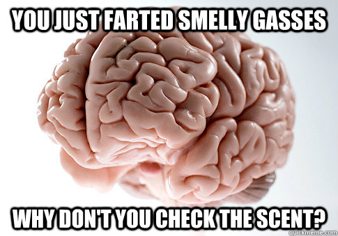 you just farted smelly gasses why don't you check the scent?   Scumbag Brain