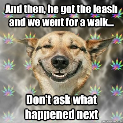 And then, he got the leash and we went for a walk... Don't ask what happened next  Stoner Dog