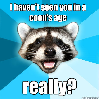 I haven't seen you in a coon's age  really?  - I haven't seen you in a coon's age  really?   Lame Pun Coon