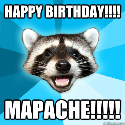 HAPPY BIRTHDAY!!!! MAPACHE!!!!!  Lame Pun Coon