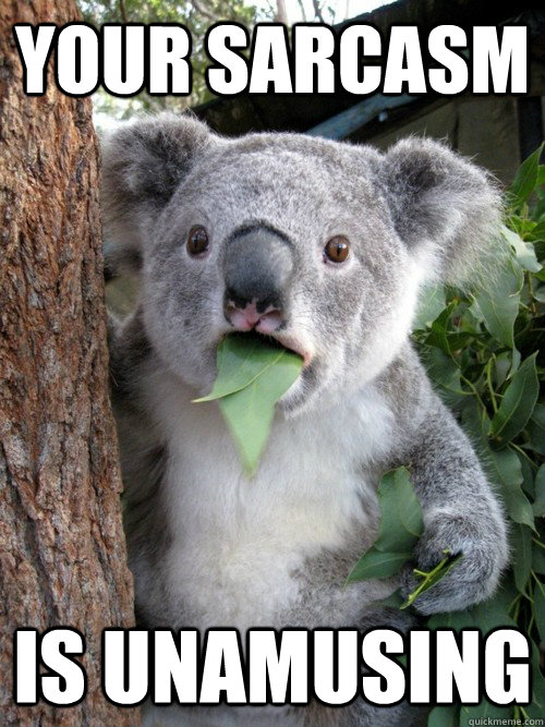 your sarcasm is unamusing - your sarcasm is unamusing  koala bear