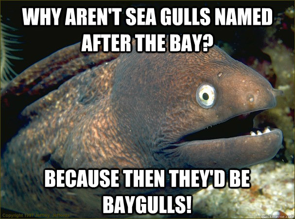 Why aren't sea gulls named after the bay? Because then they'd be baygulls!  Bad Joke Eel